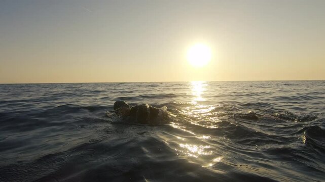 Male swimmer training in open sea at sunset, wide tracking shot. Sportsman exercising in choppy sea and sun shining on horizon. Athlete workout in ocean