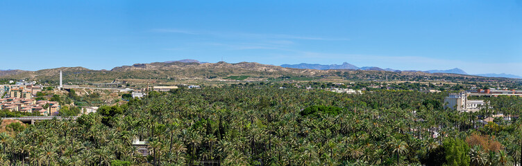 Panoramic view of the palm grove of Elche, a world heritage site, from the top of the basilica of Santa Maria. In Elche, Alicante, Spain