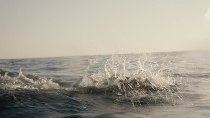 Open water swimming mid tracking shot. Sportsman training forward crawl technique in sea, side view. Professional swimmer workout