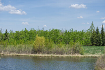 Pylypow Wetlands in the Spring