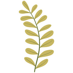 Hand Drawn Flat Doodle Leaf. Nature Green Leaf Design Element.