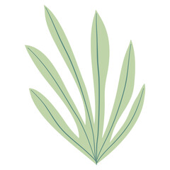 Hand Drawn Flat Doodle Leaf. Nature Green Leaf Design Element.