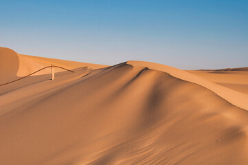 Fototapeta na wymiar Sand dunes, Namibia Desert, Namibia
