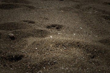 Sand on Baratti beach, Italy 