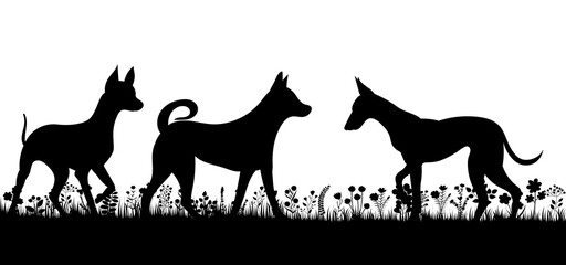 dogs playing silhouette on white background, isolated