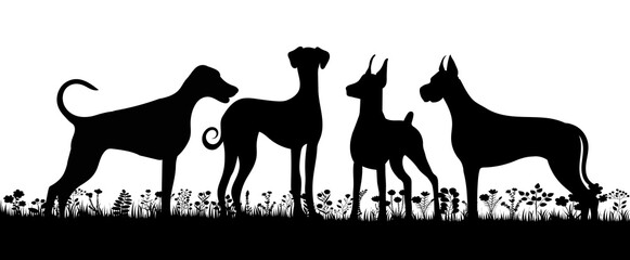 dogs playing silhouette on white background, isolated, vector