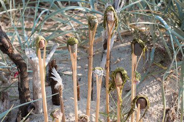 Easy outdoor leisure activity with children on a beach. Playing toy figures from natural objects.