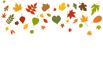 leaves autumn background in flat design, isolated vector