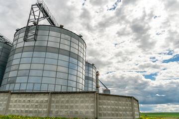 silver silos on agro manufacturing plant for processing drying cleaning and storage of agricultural products, flour, cereals and grain. Large iron barrels of grain. Granary elevator