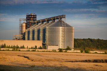 Large grain storage tanks near wheat field at evening time, illustration of world food security or crisis