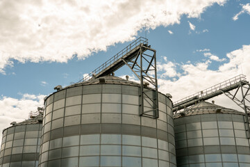 silver silos on agro manufacturing plant for processing drying cleaning and storage of agricultural products, flour, cereals and grain. Large iron barrels of grain. Granary elevator