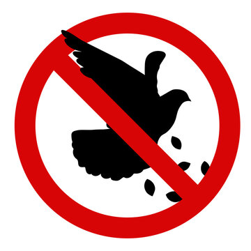 Do not feed the birds pigeons sign vector illustration