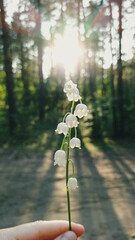 flower in the hands of the child