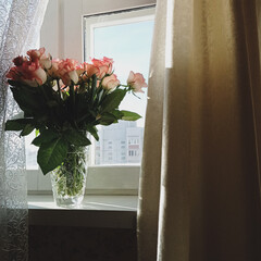 flowers in a window