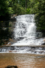 waterfall in the forest