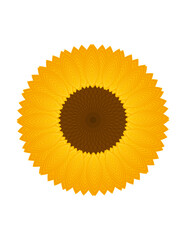 Girasol 