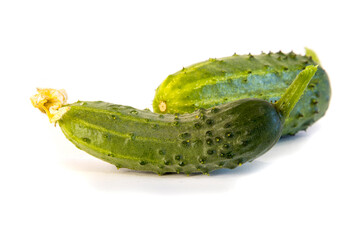 Young cucumber isolated on white