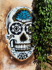 mexican skull on the wall