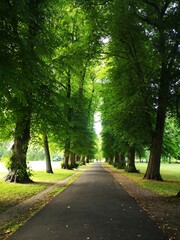 alley in the park, green London