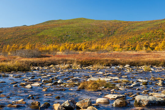 View of the shallow river and hills. Beautiful autumn landscape. Ecological tourism and wilderness travel. Amazing northern nature. Magadan region, Siberia, Russian Far East. Autumn season. September.