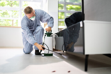 Pest Control Exterminator Services Spraying Insecticide