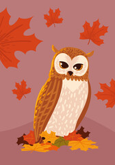 owl and autumn leaf