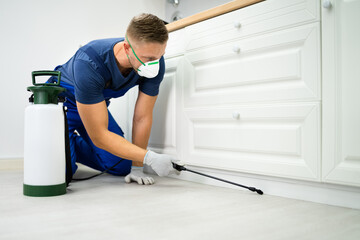 Pest Control Worker Spraying Insecticide
