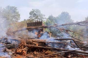 Uprooted burned trees from Removing the land for house construction in new residential complex