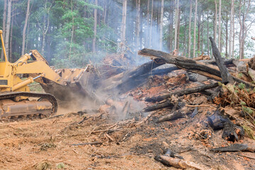 Land preparation for construction of new houses, fires used to burn uprooted forests in construction site