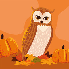 autumn owl and pumpkins