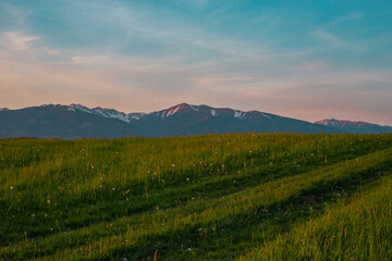 Fototapeta premium Greenfield with mountains landscape