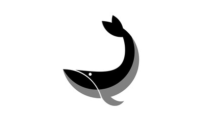 Obraz premium vector whale