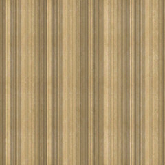 Obraz premium woodwn background texture wood 