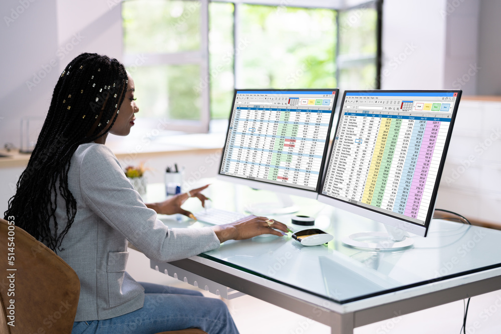 Poster Analyst Working With Spreadsheet Business Data