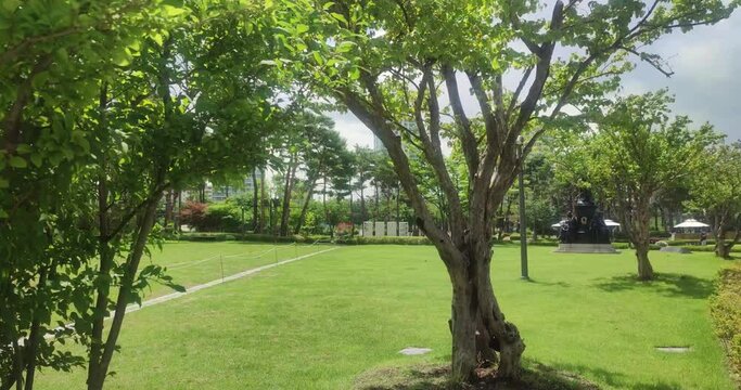 한국,서울,나무,초록색,나뭇잎