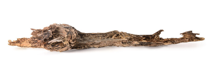 piece of old, weathered and rotten tree trunk, isolated on white background, decayed wood