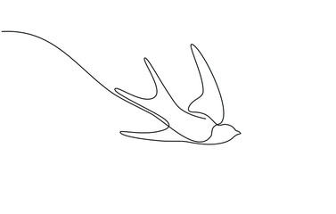 Continuous one line drawing of a swallow flying. Bird in flight isolated on a transparent background. line art in one continuous line a bird in flight. a swallow flies in doodle style. - obrazy, fototapety, plakaty
