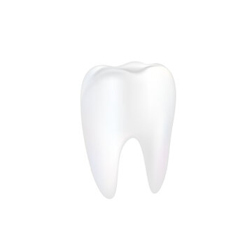 Realistic tooth on white background vector illustration