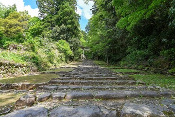 静寂に包まれた春の神社の参道の情景＠福井