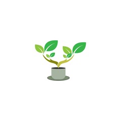 Fototapeta na wymiar ornamental plant element icon vector design illustration