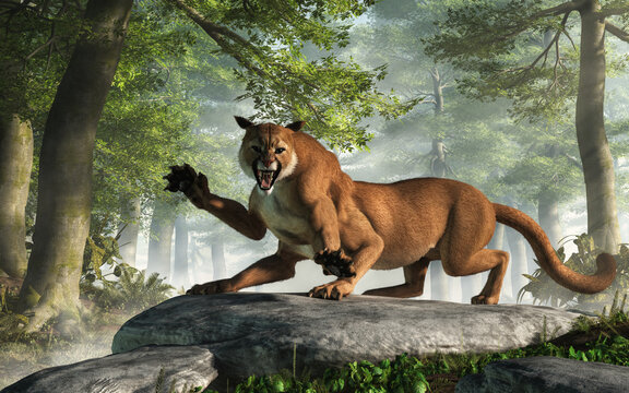 The Wampus Cat is a cryptid of American folklore and Cherokee myth and legend. This big cat-like creature's description varies wildly. Here it is shown as a six legged cougar. 3D rendering.