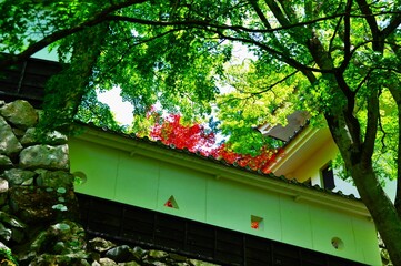 郡上八幡城の夏