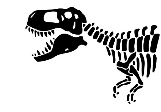T rex dinosaur skeleton negative space silhouette.Prehistoric creature bones isolated black and white clip art.
Tyrannosaurus paleontology design.