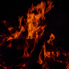 Fototapeta premium Fire flames on black background, Blaze fire flame texture background, Beautifully, the fire is burning, Fire flames with wood and cow dung bonfire