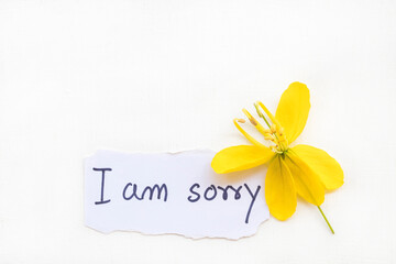 i am sorry message card handwriting with yellow butterfly flowers arrangement flat lay postcard...