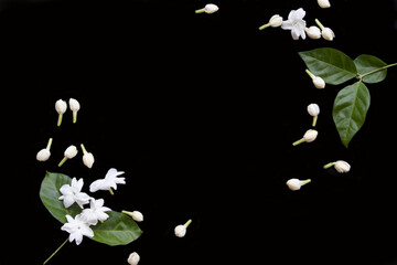 white flowers jasmine arrangement flat lay postcard style on background black