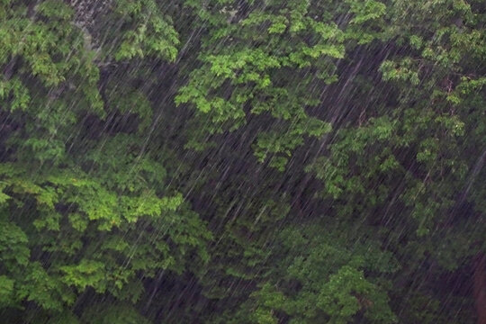 「土砂降り」の画像 - 132,174 件の Stock 写真、ベクターおよびビデオ | Adobe Stock