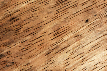 A full frame of brown old wood grain for the background.