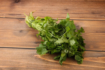 Green coriander leaves herb heap