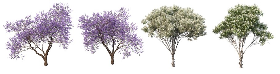 Naklejka premium A tree with flowers on a white background.